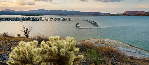 Lake Pleasant Park